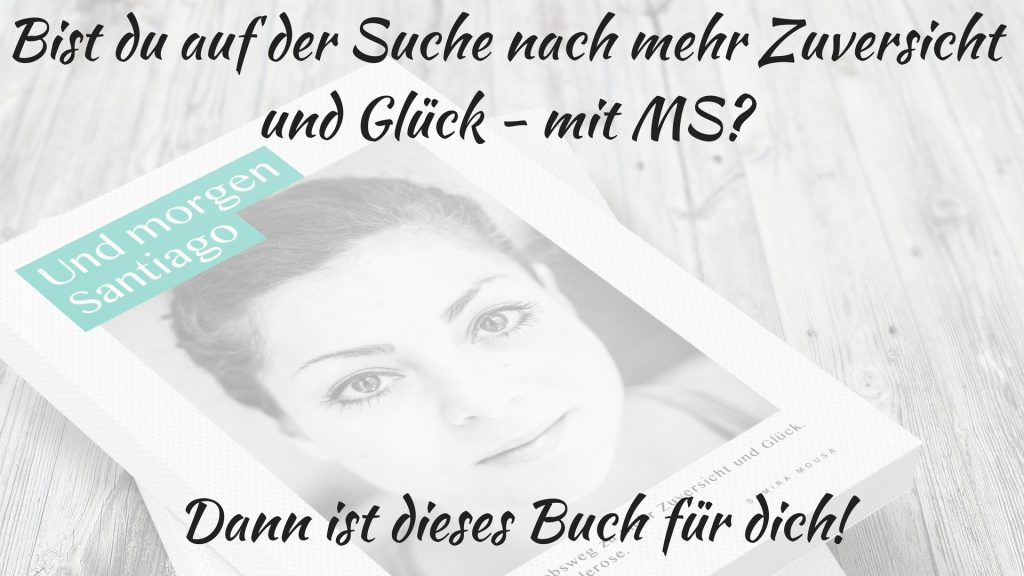 Jakobsweg Buch